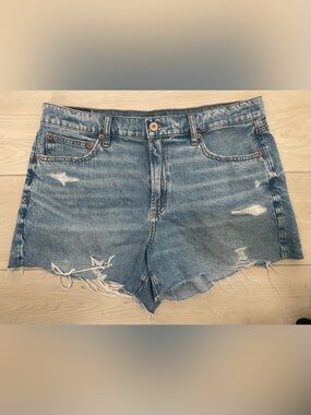 American Eagle Outfitters 90s Boyfriend Denim Shorts